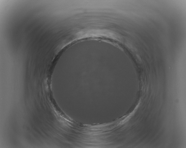 X0000083071497200702091517