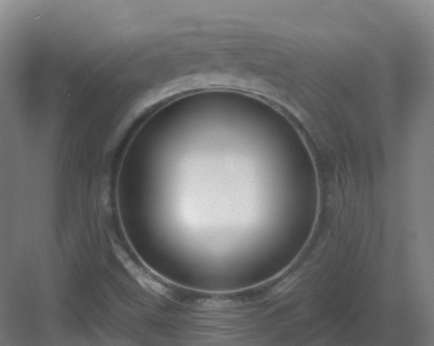 X0000083071499200702091517