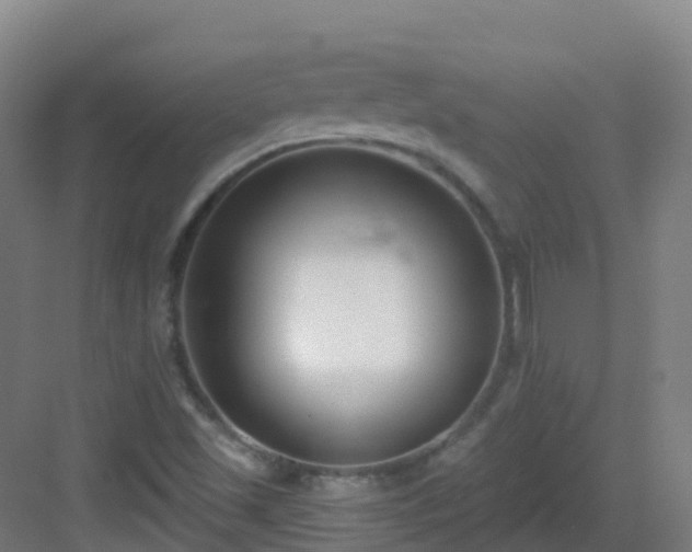 X0000083071501200702091517