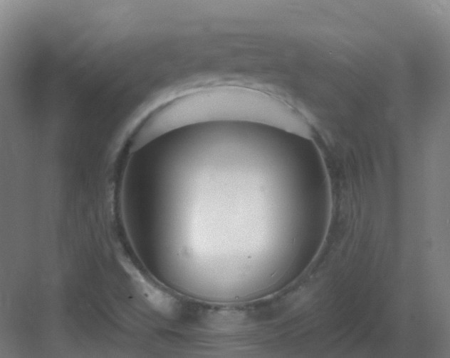 X0000083071503200702091517