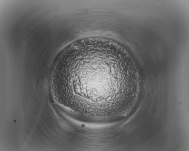 X0000083071505200702091517