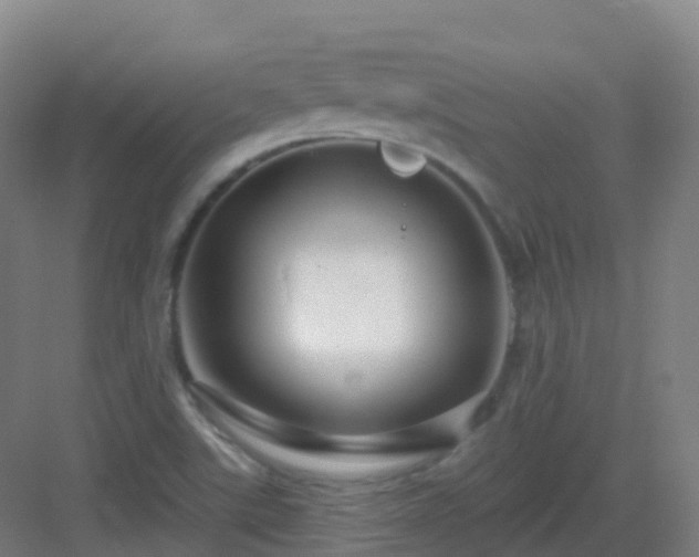 X0000083071507200702091517