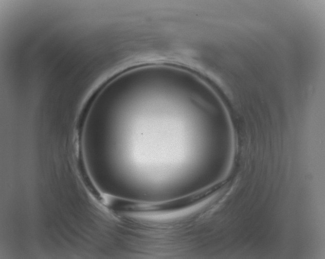 X0000083071509200702091517