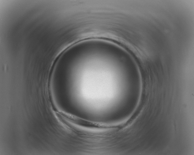 X0000083071513200702091517