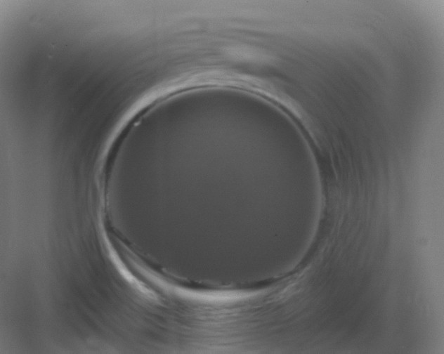X0000083071515200702091517