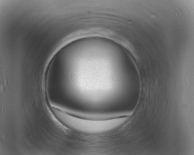 X0000083071516200702091517