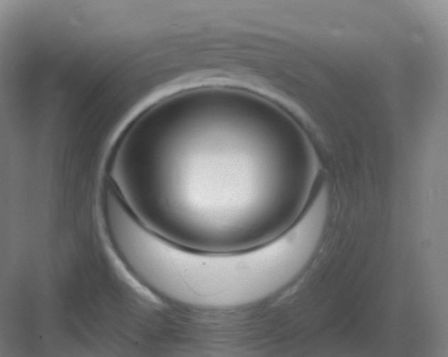 X0000083071518200702091517