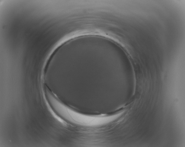 X0000083071519200702091517