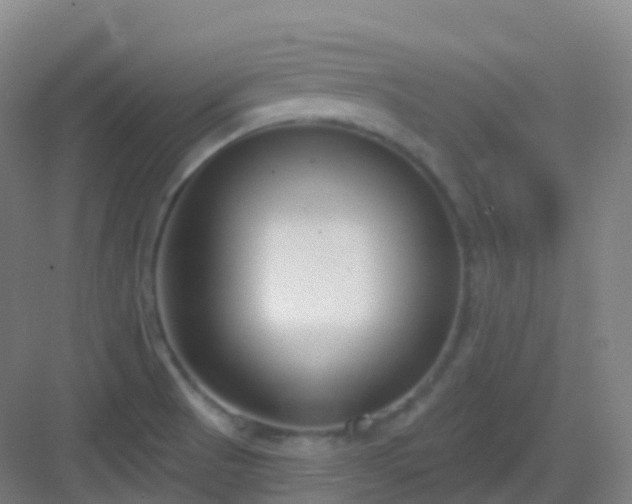 X0000083071521200702091517