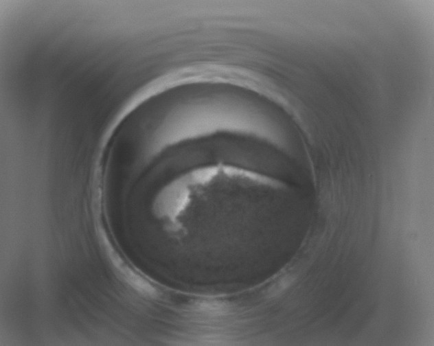 X0000083071522200702091517