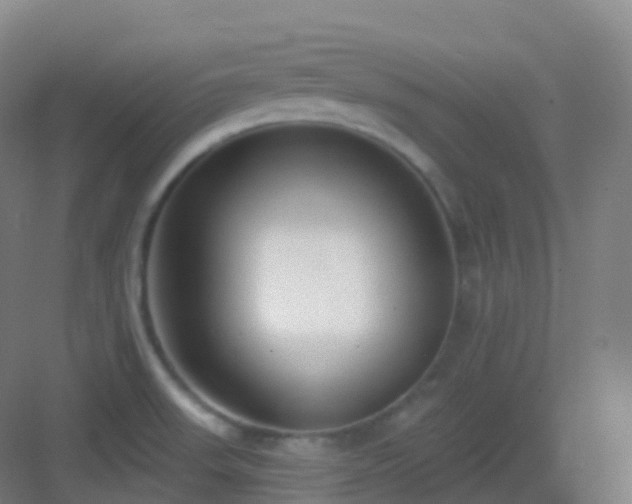 X0000083071523200702091517