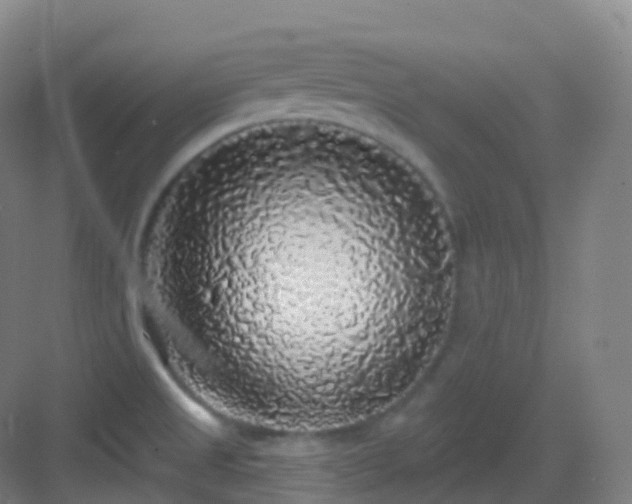 X0000083071525200702091517