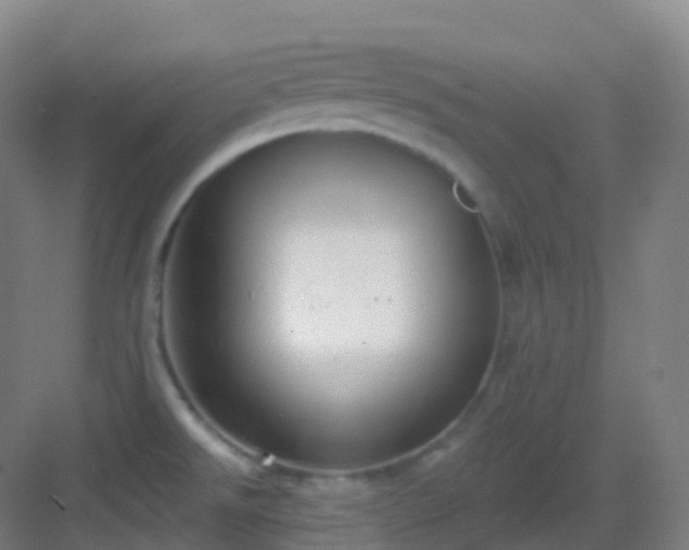 X0000083071526200702091517