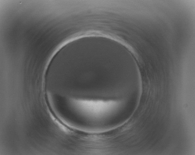 X0000083071527200702091517