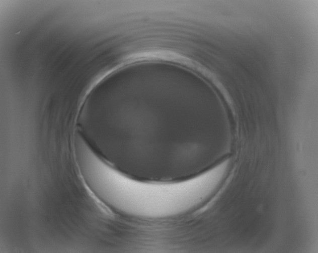 X0000083071529200702091517