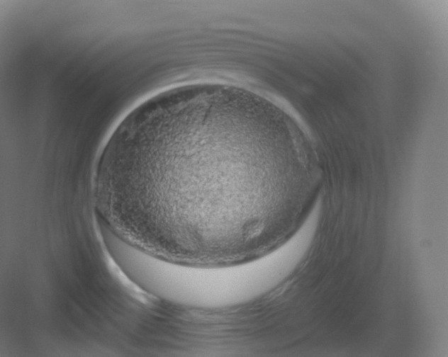 X0000083071532200702091517