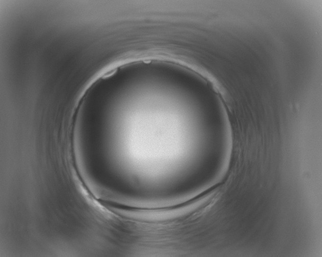 X0000083071534200702091517