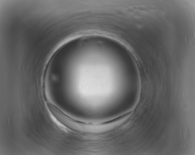 X0000083071535200702091517