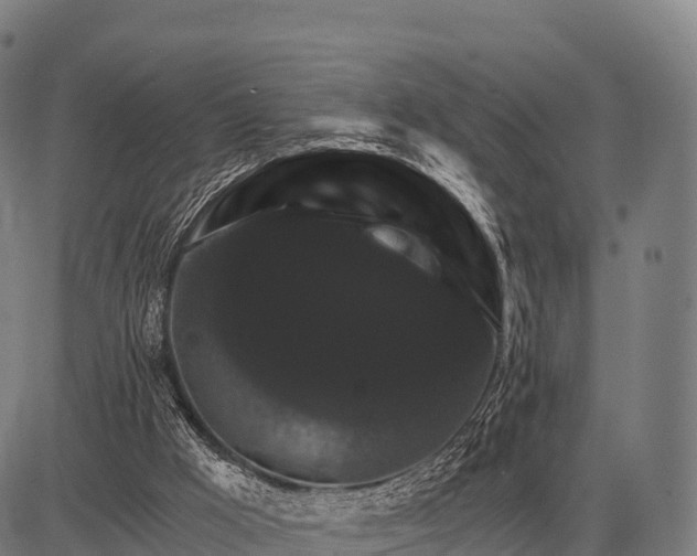 X0000083070009200702161833