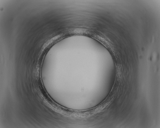 X0000083070016200702161833
