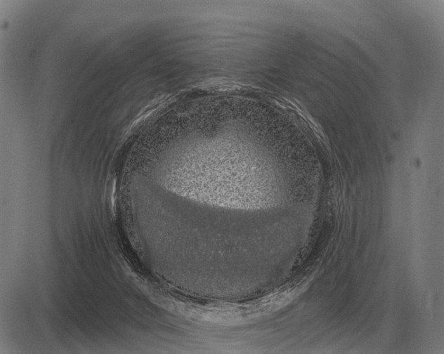 X0000083070024200702161833