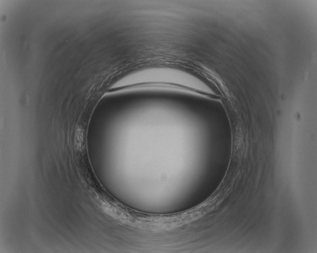 X0000083070025200702161833