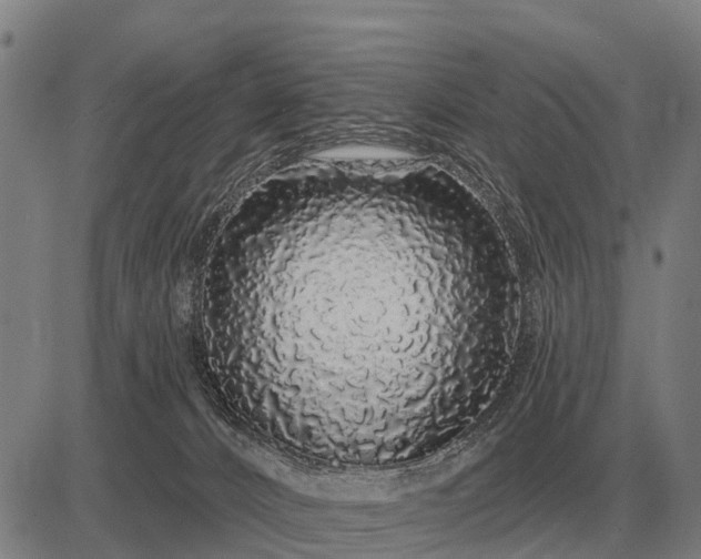 X0000083070032200702161833