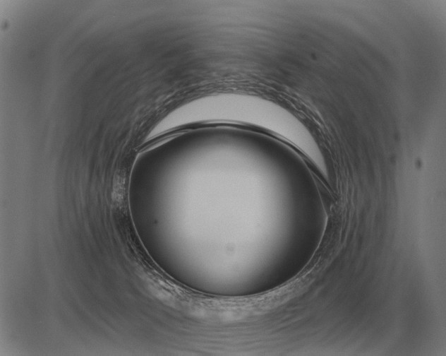 X0000083070033200702161833