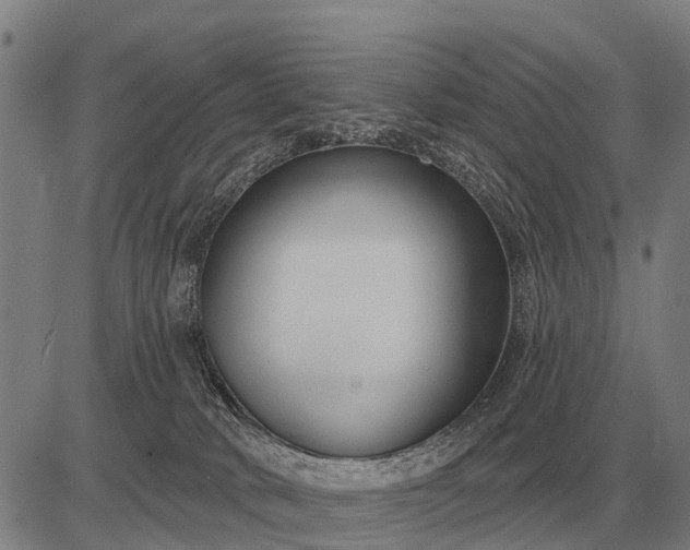 X0000083070034200702161833