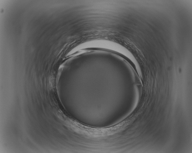 X0000083070035200702161833