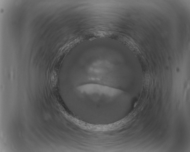 X0000083070043200702161832