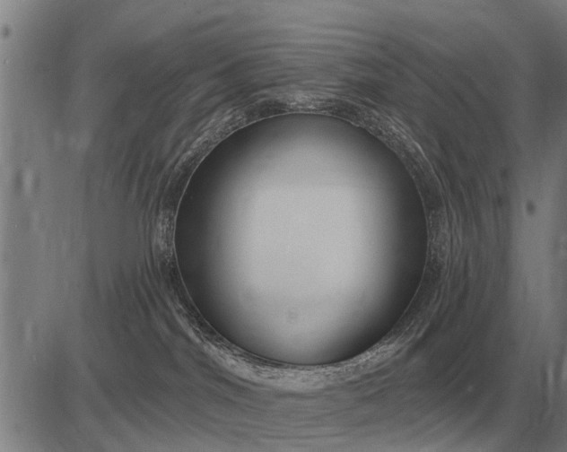 X0000083070044200702161832
