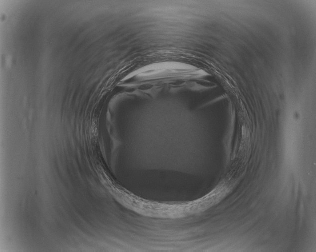 X0000083070048200702161832