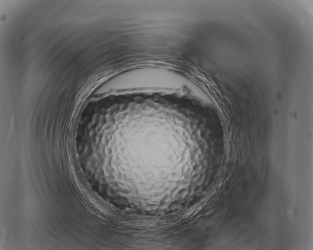 X0000083070049200702161832