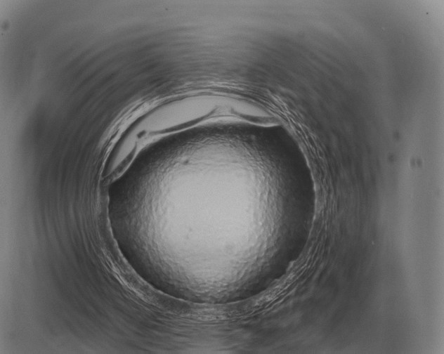 X0000083070050200702161832