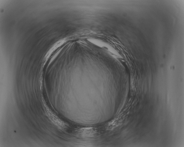 X0000083070054200702161832
