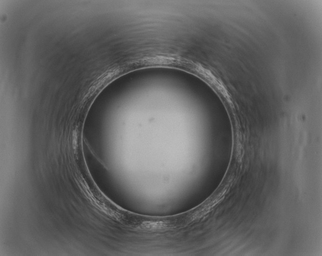 X0000083070057200702161832