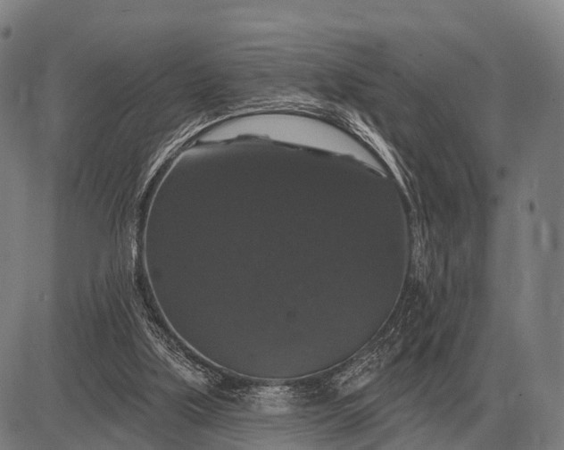 X0000083070059200702161832