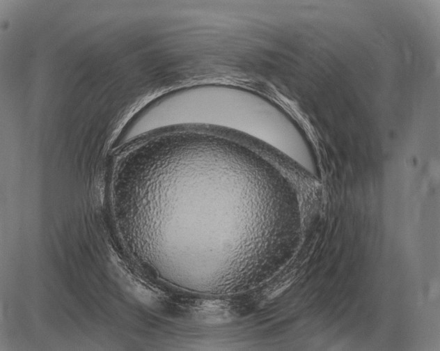 X0000083070060200702161832