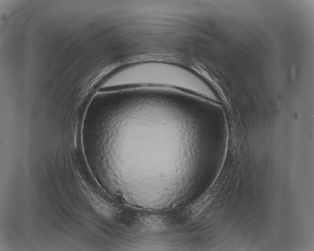 X0000083070062200702161832