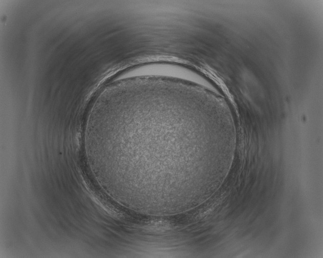 X0000083070063200702161832