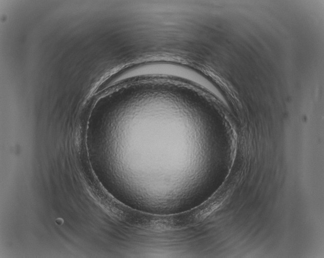 X0000083070064200702161832