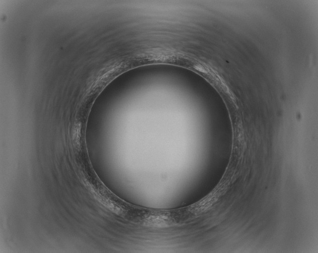 X0000083070066200702161832
