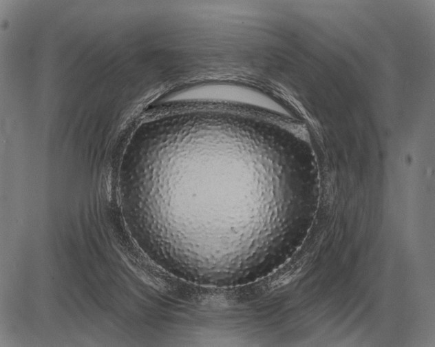 X0000083070068200702161832