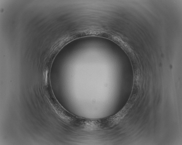 X0000083070070200702161832