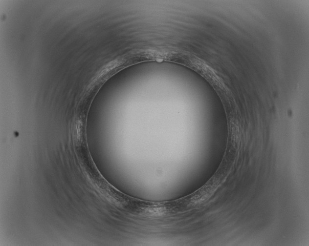 X0000083070071200702161832