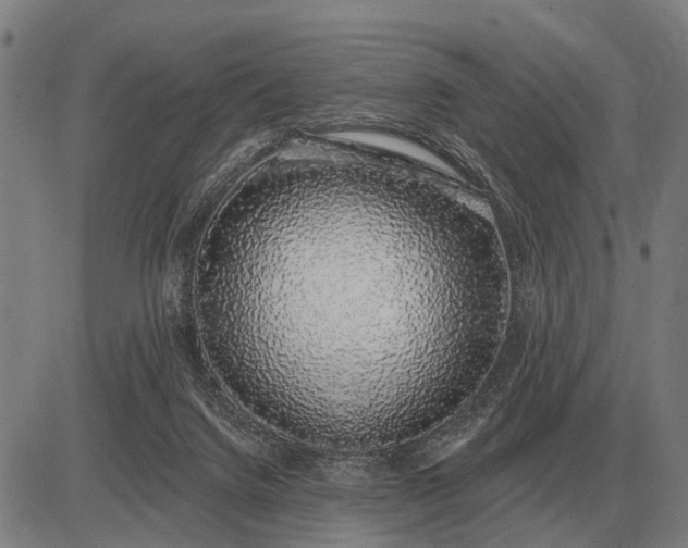 X0000083070072200702161832