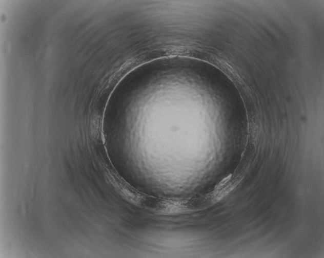X0000083070093200702161832