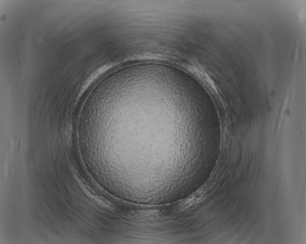 X0000083070108200702161831