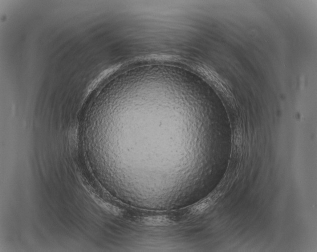 X0000083070112200702161831